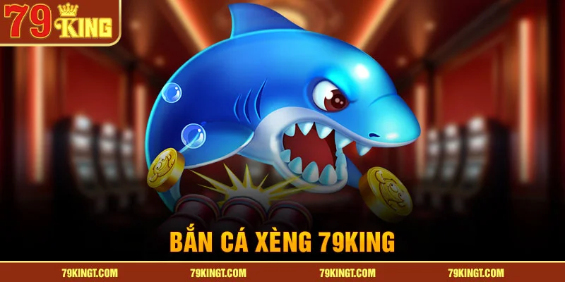 ban-ca-xeng-79king