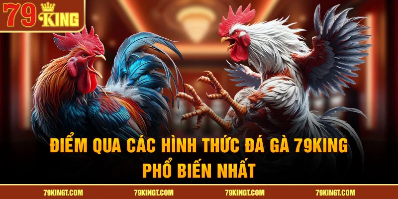 Điểm qua các hình thức đá gà 79KING phổ biến nhất