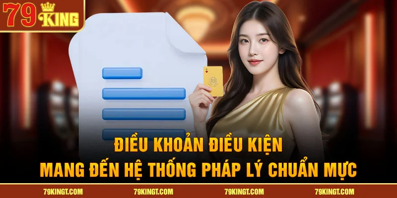 Điều khoản điều kiện mang đến hệ thống pháp lý chuẩn mực